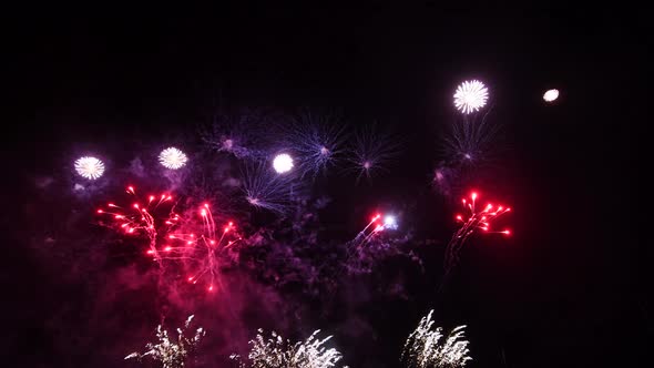 Fireworks Display at Night Sky