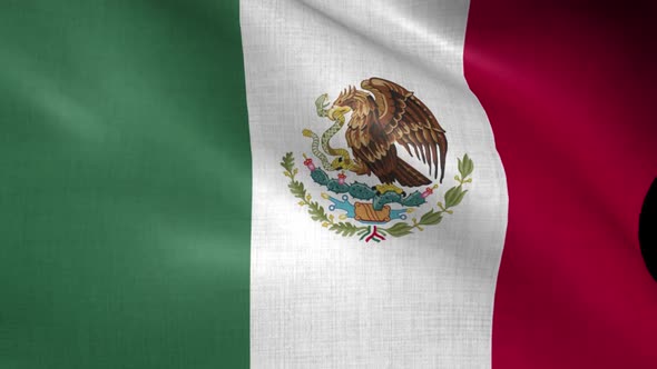 Mexico Flag