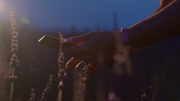 Farmer Woman Agronomist Hands Business Owner Touching Digital Tablet Computer in Lavender Field