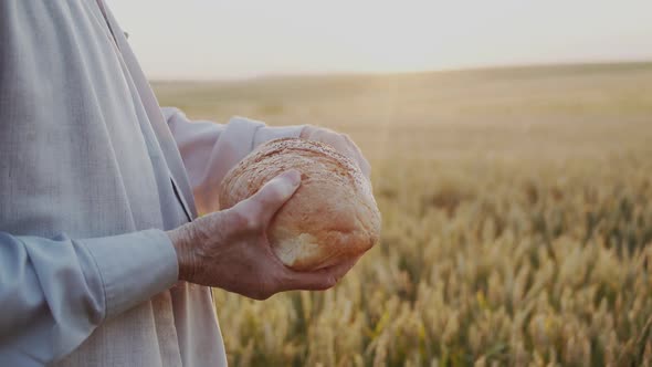 Unrecognizable Senior Man Raises a Loaf of Bread to the Sun in Wheat Field