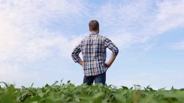 Young Farmer in a Soybean Field Looking Into the Distance