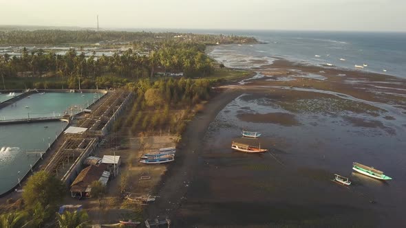 Aerial backward shot of Java shoreline with boats at low tide