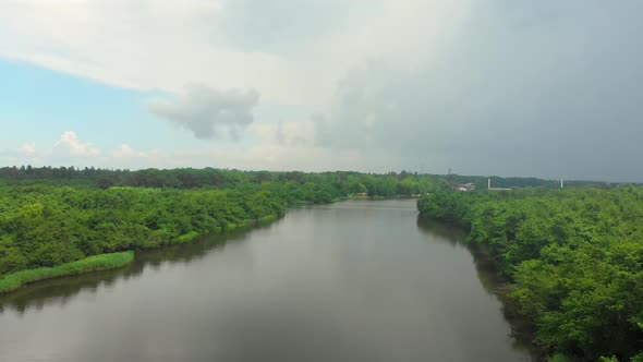 Kolkheti National Park In Summer