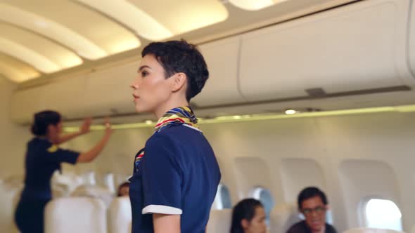 Cabin Crew Provide Service to Passenger in Airplane