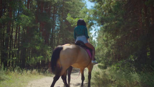 Riding Instructor Leading Horse with Rider Woman