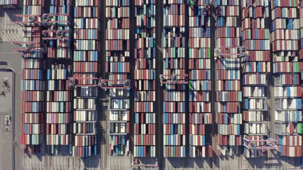 Cargo containers in busy port, aerial. Drone shot. 