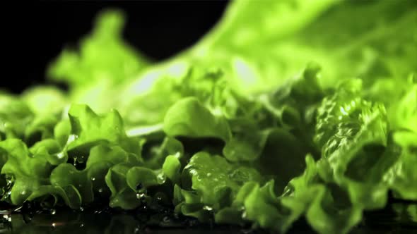 A Leaf of Fresh Lettuce Falls on the Table