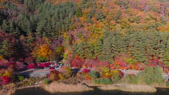 Right wide aerial following shot of cars driving on road in front of autumn colored trees