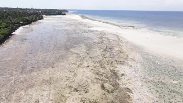 Zanzibar Tanzania  Low Tide in the Ocean Near the Shore