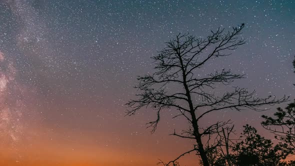 Night Starry Sky Milky Way Galaxy With Glowing Stars In Rotation