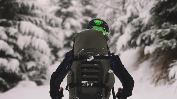 Man Turning From Camera To Ski Tour Through Forest