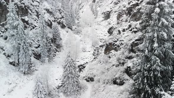 River in the Winter Snow Forest in the Mountains