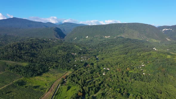 Aerial Shot of Large Vineyard Fields Among the Mountains