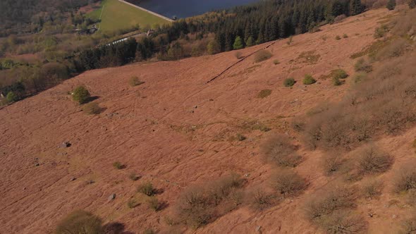 Drone travelling towards Lady Bower Reservoir Whilst panning up revealing Lady Bower Reservoir from