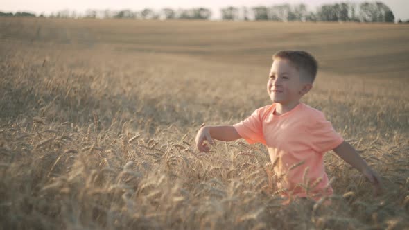 Happy Smiling Boy Running on Golden Wheat Field