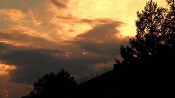 Time Lapse Dark Cumulus Clouds Move Over Silhouettes of Trees in Sunset Sky