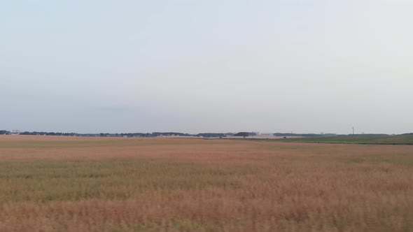 Side Low Span Over Field of Buckwheat Near Highways with Moving Cars