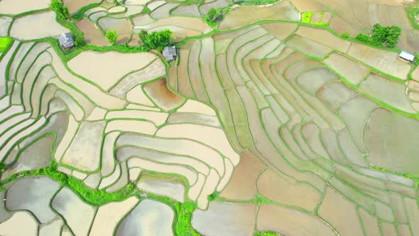 Drone flying over rice terraces field in countryside