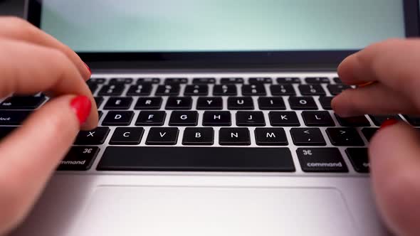 Female Hands Working on the Computer