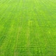 Stunning Panoramic Aerial Drone View of the Green Field - VideoHive Item for Sale