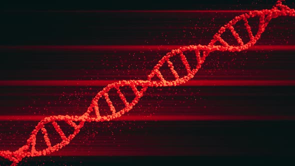 Rotating Red DNA Molecule Model