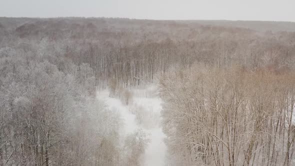 Snowy Forest, View From Above. Top Down Aerial Drone View in a Snowy Winter Forest, Natural