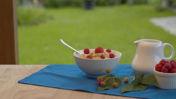 Bowl of muesli with raspberry