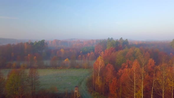 Beautiful Morning Autumnal Meadows in  Aerial Video