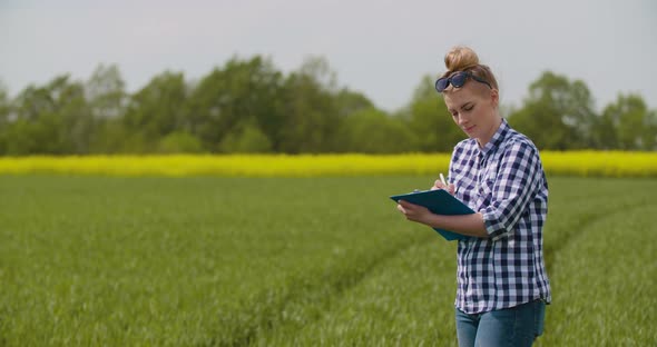 Agriculture Female Farmer Examining Young Wheat Field