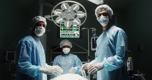 A Team of Surgeons Perform an Operation in a Bright Operating Room
