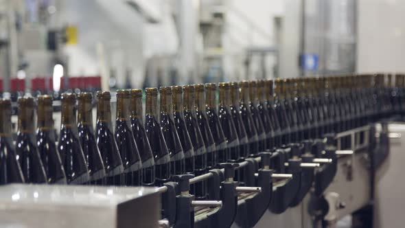 Red Wine bottles on a conveyor belt in a wine bottling factory.