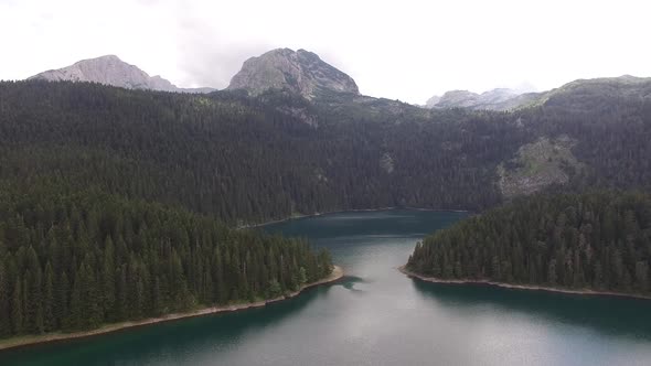 Black Lake Among the Pine Forest