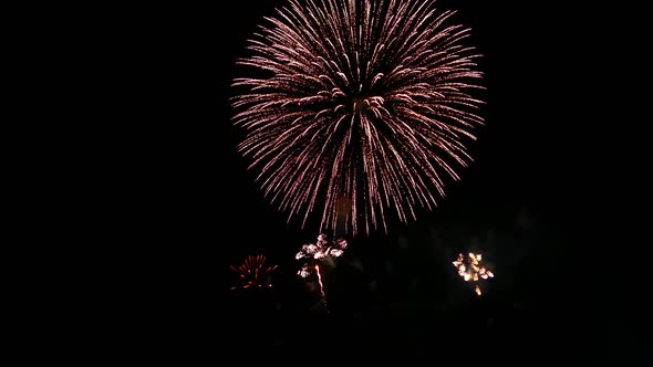 Colorful Firework display at night on sky background