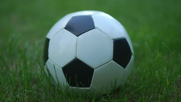 Closeup Black and White Soccer Ball Lying on Green Spring Summer Grass Outdoors