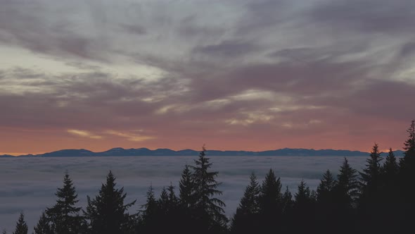 Canadian Nature View of Evergreen Trees on a Mountain Above the Clouds