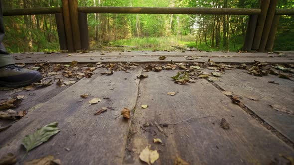 Man Walks on Wooden Bridge Over the River in Green Forest, Autumn Daylight, Slider Shot