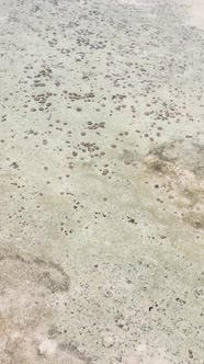 Tanzania  Vertical Video of Low Tide in the Ocean Near the Coast of Zanzibar Slow Motion