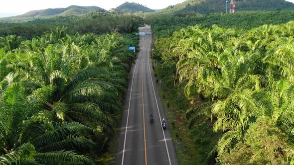 Aerial view traveling on bike on road in tropical nature