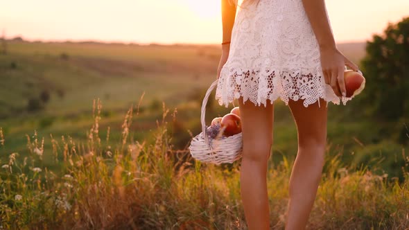 Beautiful sexy blonde girl in white dress posing in a field at sunset with a basket of fruit