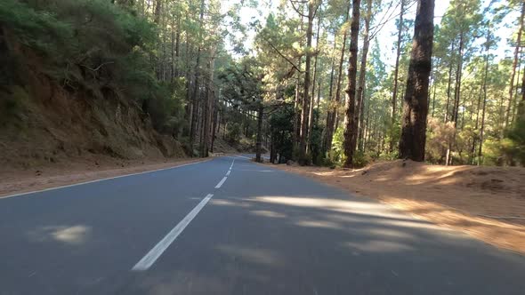 Road in Teide National Park, Tenerife, Canary Islands, Spain