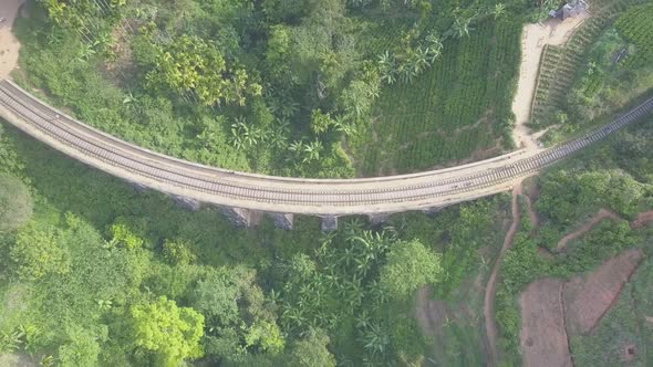 Old Demodara Bridge Over Tea Plantation in Rainforest