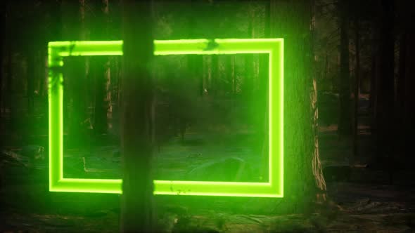 Neon Glowing Rectangle Frame in the Night Forest