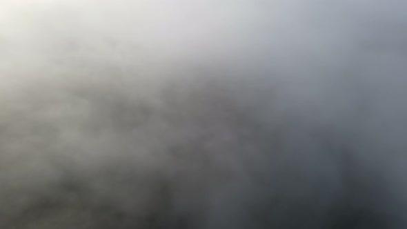 Aerial view white fog cloud cover the green forest