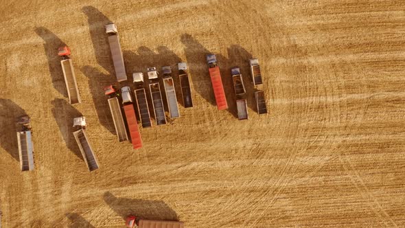 Aerial View of Grain Trucks on the Field