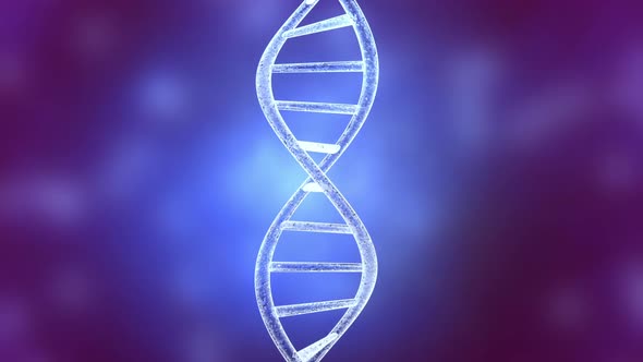 DNA Damage and dissolution Animation