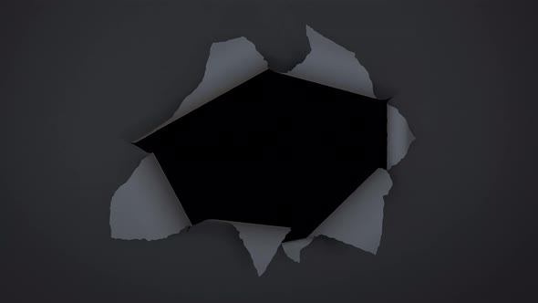 Torn Paper Hole - Black alt