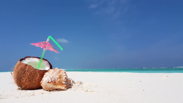 Tropical drone copy space shot of a sunshine white sandy paradise beach and blue sea background in v