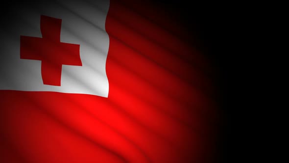 Tonga Flag Blowing in Wind