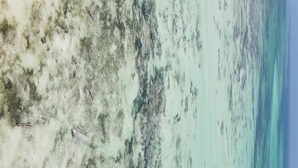 Vertical Video of Low Tide in the Ocean Near the Coast of Zanzibar Tanzania Aerial View