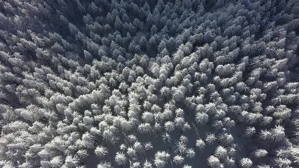 Spectacular Winter Landscape